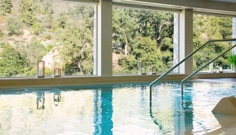 Hydrotherapy pool beside floor-to-ceiling windows onto the forest
