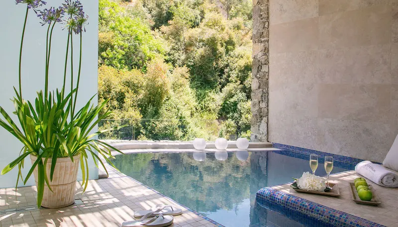 Private outdoor whirlpool among the trees