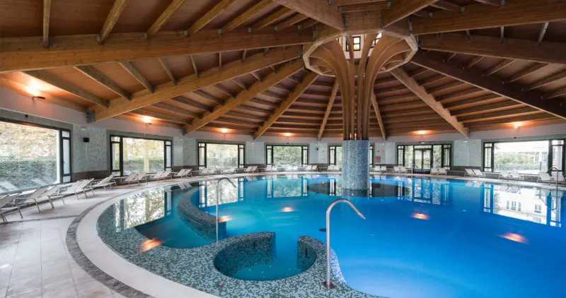 Thermal pool hall under a timber roof
