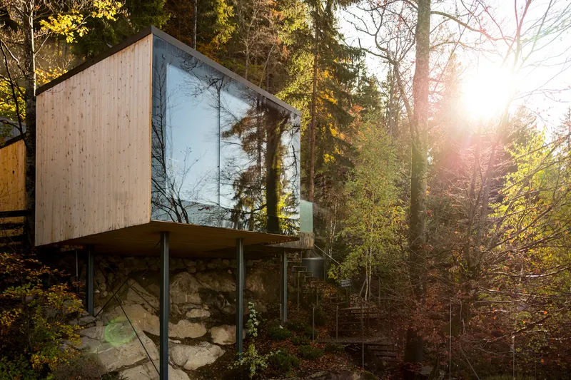 Forest sauna among trees