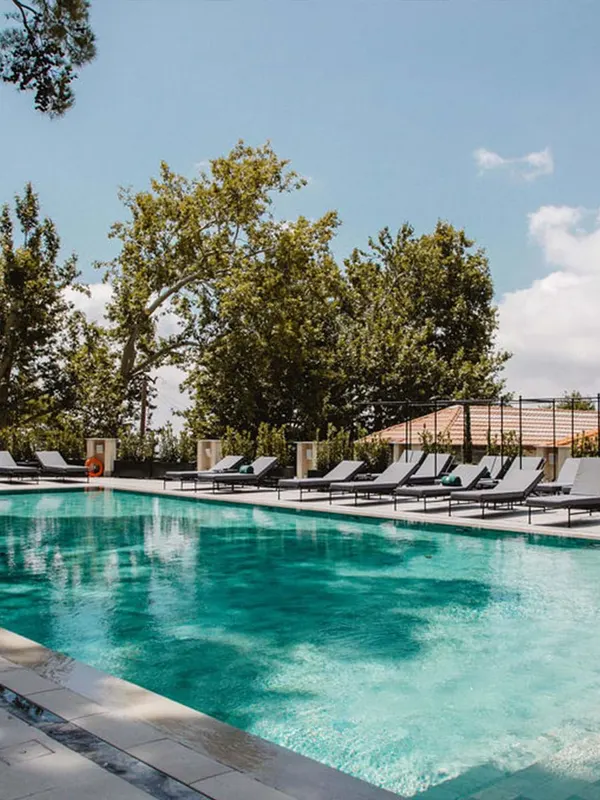 Pool with sunloungers and pine trees