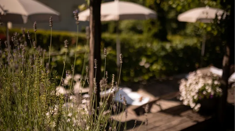 Vitalpina Hotel Schulerhof